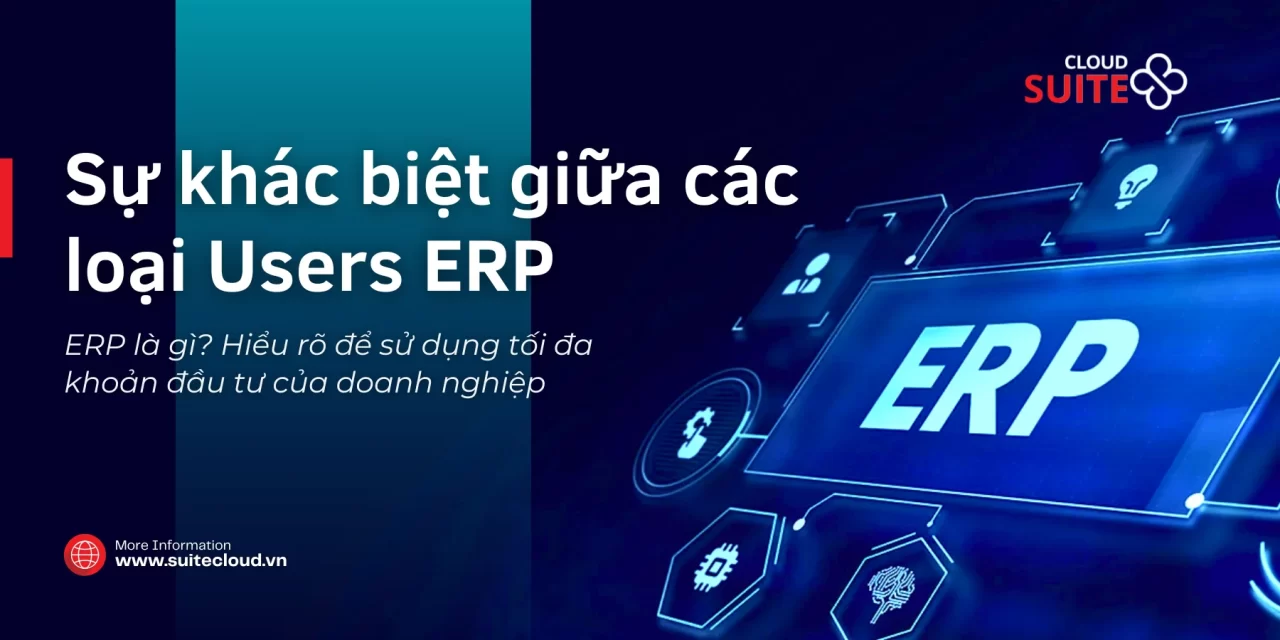 Sự khác biệt giữa các loại Users của NetSuite ERP